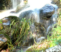 water